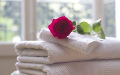 A Step-by-Step Guide to Purchasing the Best Towels